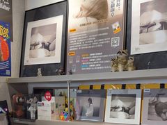 -浣熊唱片店(上海影城店)
