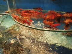-沿海渔家院蒸汽海鲜·东北菜(东戴河店)