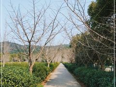 -九龙潭景区