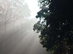 -大雁山风景区