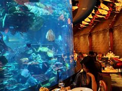 -迪拜帆船酒店海底餐厅