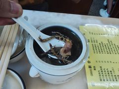 -国英炖品店(甲子路店)