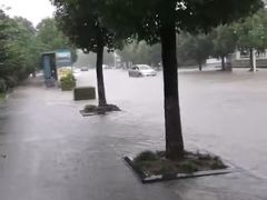 -滨江生态公园