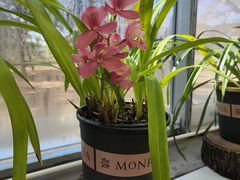 -国家植物园南园