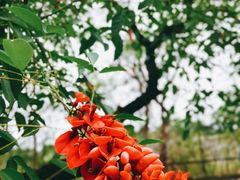 -白石龙音乐公园