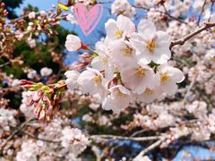 -青岛中山公园-索道售票处