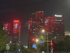 -大望京公园