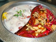 -麻田会 ·鲜活现烹·牛蛙火锅(珠江新城维家思广场店)