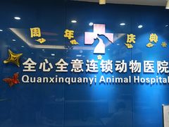 -全心全意连锁动物医院·微创中心·内科急重症·心脏专科(丰管路店)