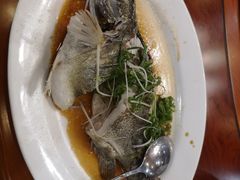 清蒸鳜鱼-崖口红树林海鲜餐厅