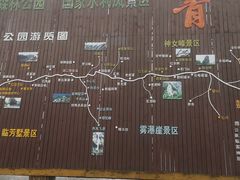 -青峰峡国家森林公园