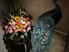 -弦月窗LUNETTE BY AMANDA(复兴路店)