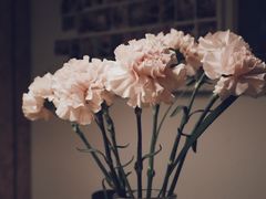 -几米咖啡(龙洲湾花园店)