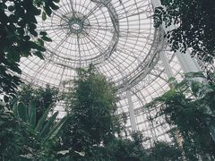 -郑州植物园