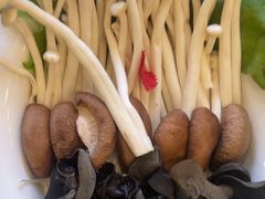 -牛街·马辈儿涮肉(陶然亭店)