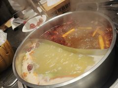 -蓉客成都火锅·招牌麻辣牛杂·特色香辣蹄花(凌水店)
