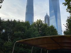 -BUS TOUR观光巴士