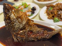 罾蹦鲤鱼-奥华餐厅·老张记(台基厂店)