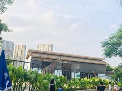 -灵玲国际马戏城