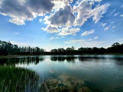 -大兴滨河森林公园