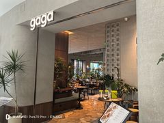 -gaga(北京新中关购物中心店)
