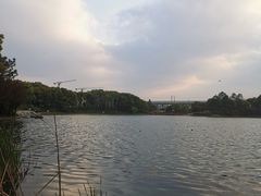 -美兰湖景区