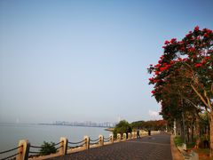 -深圳湾公园(南山区)