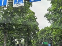 -南京东郊国宾馆