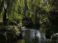 -金春禧(世茂国际广场店)