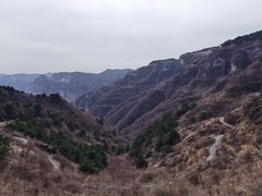 -王莽岭风景区