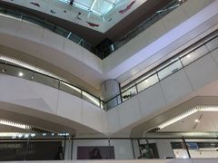 -阳阳中国饭(龙湖大兴天街)