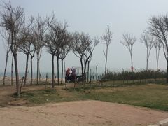 -东疆建设开发纪念公园