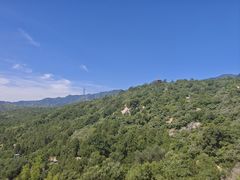 -白水寺森林公园