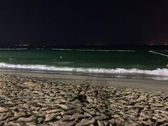 -大梅沙游艇度假酒店