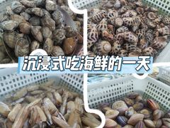-南庄酒家·海鲜粤菜·25年老字号(环城南路店)