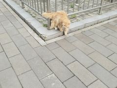 -北京市劳动人民文化宫(太庙)