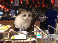-很久以前羊肉串(打浦路店)