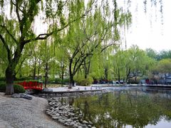-玲珑塔公园