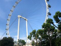 -新加坡文华东方酒店