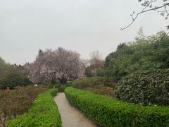 -西安青龙寺遗址景区