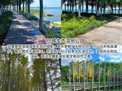 -品鲜村农家菜·阳澄湖大闸蟹(总店)