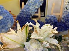 -北京大学百年讲堂