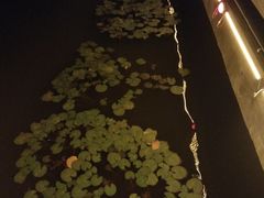 -雁滩公园
