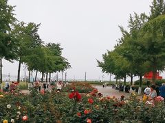 -五四广场