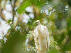 -Sony Store索尼(广州正佳店)