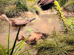 -中国湿地博物馆