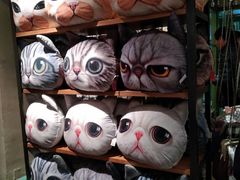 -猫咪博物馆(顶澳仔猫街店)