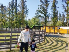 -前小桔亲子创意农场·草莓采摘·露营烧烤