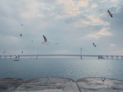 -星海广场