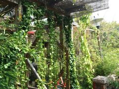 -小仙居·农家宴烤羊· 农庄
